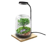 Générique Lampe De Croissance Pour D'Intérieur,Éclairage LED À Spectre Complet Rotatif Avec Socle En Bois,Lampe de Croissance pour Aquarium de Bureau - Pour Bureau D'Étude Et