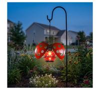Générique Lanterne solaire extérieure Lady Bug