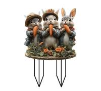 Générique Lapin de Pâques - Décoration de jardin - Lapin de Pâques à planter - Décoration de jardin - Décoration de Pâques Pour l'extérieur et l'intérieur