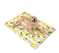 Générique Large Dog Cooling Mat | Heavy Duty Chew Resistant Gel Pad, 450 Micron Oxford Anti-Scratch | Self-Cooling, Non-Toxic & Waterproof Heat Relief Mat for Dogs & Cats in Summer (Orange,50x70cm)
