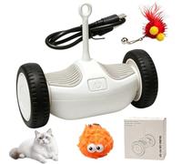 Générique Le Jouet de Chats d'intérieur Rechargeable avec LED Rouge