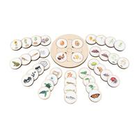 Générique Lebenszyklus-Puzzle-Kit - Life Growth Cycle Board | Cartoon Entwicklungs-Puzzles | Für Kleinkinder Vorschule Wissenschaft Frühes Lernspielzeug Biologische Wachstumsstadien, Natur-Erkenntnis