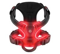 Générique LED Luminous Dog Harness No Pull Adjustable Rechargeable Pet Vest Small Medium Large Dogs Outdoor Walking Supplies(Red,M)