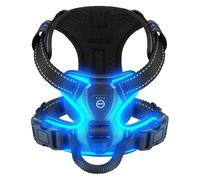 Générique LED Luminous Dog Harness No Pull Adjustable Rechargeable Pet Vest Small Medium Large Dogs Outdoor Walking Supplies(Blue,M)