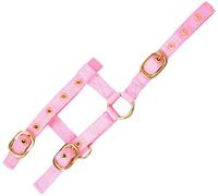 Générique Licol nylon réglable Mini - rose - mini foal
