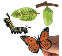 Générique Life Cycle Figurines - Educational Însect Life Cycle Toys | Luna Moth Butterfly Turtle Ŵorker Ant Frog Mōsquito Models | Children's Learning Figurines Set PP Material