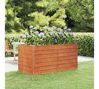 Générique Lit surélevé de Jardin rouillé 160x80x77 cm Acier corten,Maison & Jardin,Pelouses & Jardins,Jardinage,Pots & Cache-Pots,Brun,18.4 KG,151959