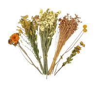 Générique Literie de Fleurs de Hamster | Literie de Hamster à Fleurs séchées | Natural Blooms Treat Grain Mate pour gerbilles naines syriennes Souris Degus Bunny