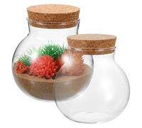 Générique Lot de 2 Bouteilles Sphériques en Verre Bouchon en Liège, Conteneurs Décoratifs pour Micro-aménagement Paysager et Plantes Mousses