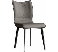 Générique Lot de 2 chaises de Loisirs en métal for Salon, Chambre à Coucher, Cuisine, Salle à Manger Industrielle(B)