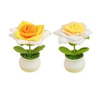 Générique Lot De 2 Fleurs Au Crochet, Jolies Fleurs en Pot, Plant en Pot Tricotées À La Main, Décoration Au Crochet À Fleurs Colorées Dégradées pour Tableau De Bord De Voiture, Bureau, Maison