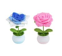 Générique Lot De 2 Fleurs Au Crochet, Jolies Fleurs en Pot, Plant en Pot Tricotées À La Main, Décoration Au Crochet À Fleurs Colorées Dégradées pour Tableau De Bord De Voiture, Bureau, Maison