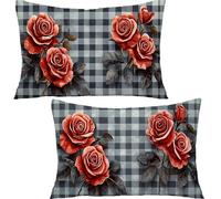 Générique Lot de 2 Housse de Coussin Rectangulaire Rose, 60x80cm 100% Coton Velours Décoratif Taie d'oreiller, Plaid Taie d'oreiller Super Doux Decoration Maison Salon Chambre pour CanapéYF-2261