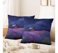 Générique Lot de 2 Housses de Coussin Esthétique, Romantique, Féerique décoratives 40 x 60 CM Ciel Nocturne Étoilé, Herbe, Fleurs Doux Décoratif Taie d'oreiller pour Chambre, Chaise
