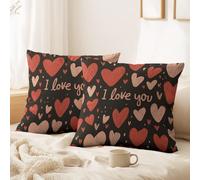 Générique Lot de 2 Housses de Coussin Léger, Chaleureux, Apaisant décoratives 40 x 40 CM Pandas géants, Papillons Doux Décoratif Taie d'oreiller pour Chambre, Chaise