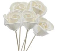 Générique Lot de 5 ou 6 bâtons roseaux en rotin, sans feu, for diffuseur parfums, décoration d'intérieur pour Cuisine,Bain,Salon(5PC Set 8)