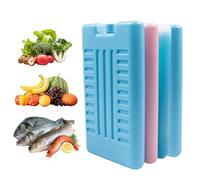 Générique Lunch Box Ice - Reusable Freeze Pack, Cooler Temperature Blocks, Long Lasting Chill Bricks | Portable Food Cooler Beach Camping Fishing, Perfect for Picnic Travel Outdoor Meal Storage