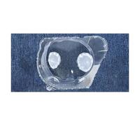 Générique Lyjstore Boîtier de Phare Transparent Compatible avec Great Wall Haval X-Dog 2021 2022, Couvercle Masque, Coque, Remplacement la lentille d'origine