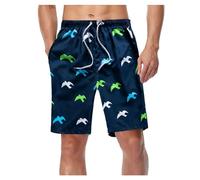 Générique Maillot de Bain Homme avec Poche Zippée Short de Bain Imperméable à Séchage Rapide Short de Bain avec Cordon de Serrage Réglable