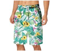 Générique Maillot de Bain Homme Piscine Maillot de Bain à séchage Rapide pour Hommes,5 Pouces,en,Short Long,Style Six