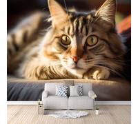 Générique Maine Coon Papier Peint Photo, Animal Papier Peint Photo Intissé, Mat Papiers Peints Poster pour Chambre Salon Chambre d'enfants Mur de fond TV Dortoir Décoration 400 x 280 CM