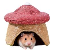 Générique Maison pour Gerbille | Jouets À Mâcher en Forme De Champignon,Habitat pour Gerbilles - pour Furets, Lapins, Animaux Domestiques, Cages Et Maisons pour Animaux, Chinchillas, Hérissons