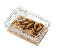 Générique Mangeoire pour Reptiles avec Compartiment Transparent Anti-Fuite