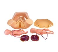 Générique Mannequin de simulation d'accouchement Démonstration d'accouchement, Modèle anatomique pelvien grandeur nature, Modèles d'utérus de bébé Sac amniotique Pelvis Placenta Ombilical