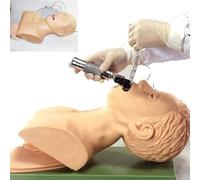 Générique Mannequin d'enseignement de l'intubation, Intubation orale et nasale, Gestion des Voies aériennes, Formateur PVC démo pour l'enseignement des Sciences, étude de la Pratique