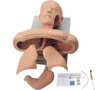 Générique Mannequin d'intubation orale et nasale avancée,Mannequin d'intubation pour l'enseignement de la Gestion des Voies respiratoires,avec Dispositif d'alarme Dentaire Simulateur