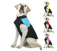 Générique Manteau imperméable pour Chien de Petite et Moyenne, Veste d'hiver Chaud matelassé avec Fermeture Éclair et Anneaux en D, Gilet de Protection pour Chihuahua, Yorkshire, Chaton C