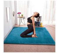 Générique Matelas De Sol Japonais Épais, Mousse Haute Densité, Matelas Futon Pliable Enroulable, Tatami for Chambre d'amis, Camping Et Tapis De Jeu(Light Blue,200x220cm)