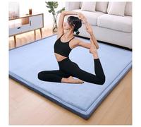 Générique Matelas De Sol Japonais Épais, Taille Simple/Double/Queen, Tapis De Couchage Pliable, Tapis De Camping Portable, Canapé-lit, Tatami, for La Maison Et Les Voyages(Light Blue,200x280cm)