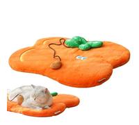 Générique Matelas Plat pour Chat - Couverture de Sol Orange pour Animaux | Lit De Caisse Lavable | pour Chambre, Intérieur, Détente, Appartement, Cuisine, Maison, Repos Quotidien Et pour La Nuit