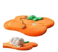 Générique Matelas Plat pour Chat | Tapis De Sol Orange - Lit De Caisse Lavable | pour Un Usage en Appartement Salon Cuisine Maison pour Le Repos Quotidien La Nuit Et pour La Détente en Intérieur