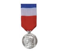 Générique Médaille d'Ancienneté du Travail Argent 20 Ans