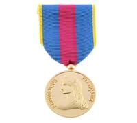 Générique Médaille des Réservistes Volontaires De la Défense et de la Sécurité Intérieure Ordre Or RVDSI Ordonnance pendante Décoration Militaire