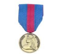 Générique Médaille des Réservistes Volontaires De la Défense et de la Sécurité Intérieure Ordre RVDSI Bronze Ordonnance pendante Décoration Militaire