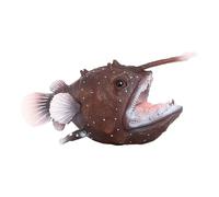 Générique Meerestierfigur | Tragbare Mini-Anglerfischfigur | Modell Eines Meerestieres, Spielzeug Zur Förderung Der Kognitiven Entwicklung Von Kindern, Fotorequisite
