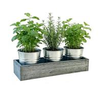 Générique Metal Plant Pots Set, Drainage Tray Planters, 12.99x4.33x4.33inch Small Pot Kit with Base, Portable Steel Flower Container Set, Minimal Modern Decor Style, Indoor Outdoor Use