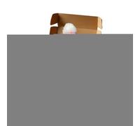 Générique Mini câlin de Lapin Fait à la Main, Lapin en Peluche Mignon de Pâques de 7 Pouces avec Mini Chapeaux de fête et boîte, Cadeau de câlins Lapins Doux avec Carte pour la Saint-Valentin, Pâques