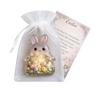 Générique Mini Câlin de Poche | Compagnon Qui Réchauffe Le Cœur - Carte de Pâques Lapin Petit Câlin,pour Elle Lui Femme Adulte Ados Cadeau Déplacements École