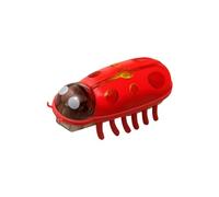 Générique Mini Coccinelle électrique pour Chat,Peut émettre de la lumière,Jouet interactif pour Chat,Jouet éducatif pour Chats et Chatons,Jouet Amusant pour Chats (Rouge et Noir)