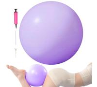 Générique Mini Exercise Ball, Stability Training Ball Kit, Anti Burst Inflatable Design with Easy Pump Setup, 9.84 inches Yoga and Rehab Balls Set, Modern Style Fitness Accessory for Use