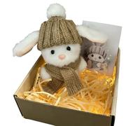 Générique Mini Lapin Câlin Mignon Cadeau de Pâques, Mini Lapins en Boîte, Poupée de Lapin en Peluche de Poche Fait à la Main, pour Les Enfants Famille, Amis et Proches à Pâques (Gris)