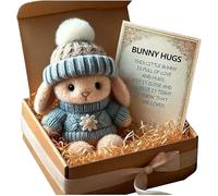 Générique Mini Lapin CâLin Mignon Cadeau de PâQues Mini Lapins Mini Lapins Dans Une BoîTe Soutien éMotionnel Poche Positive en Peluche pour La Famille Les Amis Et Les Proches à PâQues