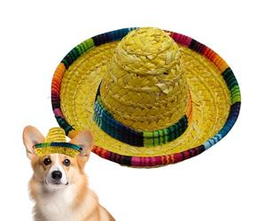 Générique Mini Sombreros - Woven Mexican Wide-Brim Headband Hat | Festive Outdoor Costume Accessory for Pets, Children, Dogs, Birthday Parties, Kids Celebrations, Dress Up, Fun Photo Prop, Cultural