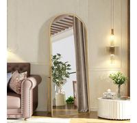 Générique Miroir de Sol arqué 165 x 60 cm, Miroirs sur Pied, Miroir Pleine Longueur avec Support,Cadre en Alliage d'aluminium, Grand miroirs Mural dans la Chambre à Coucher, Le Dressing
