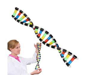 Générique Model Kit - Double Helix Structure | Molecular Science Toy | 15.75 Inch ABS Biology Teaching Aids, Sturdy Assembly Tool, for Classroom Decor, School Science Project & Home Study