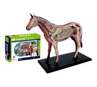 Générique Modèle 4D d'anatomie du cheval - Squelette animal, biologie détachable, 26 pièces pour la clinique vétérinaire, la formation et l'enseignement scolaire.